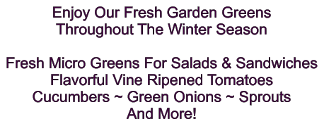 Enjoy Our Fresh Garden Greens Throughout The Winter Season  Fresh Micro Greens For Salads & Sandwiches Flavorful Vine Ripened Tomatoes Cucumbers ~ Green Onions ~ Sprouts And More!
